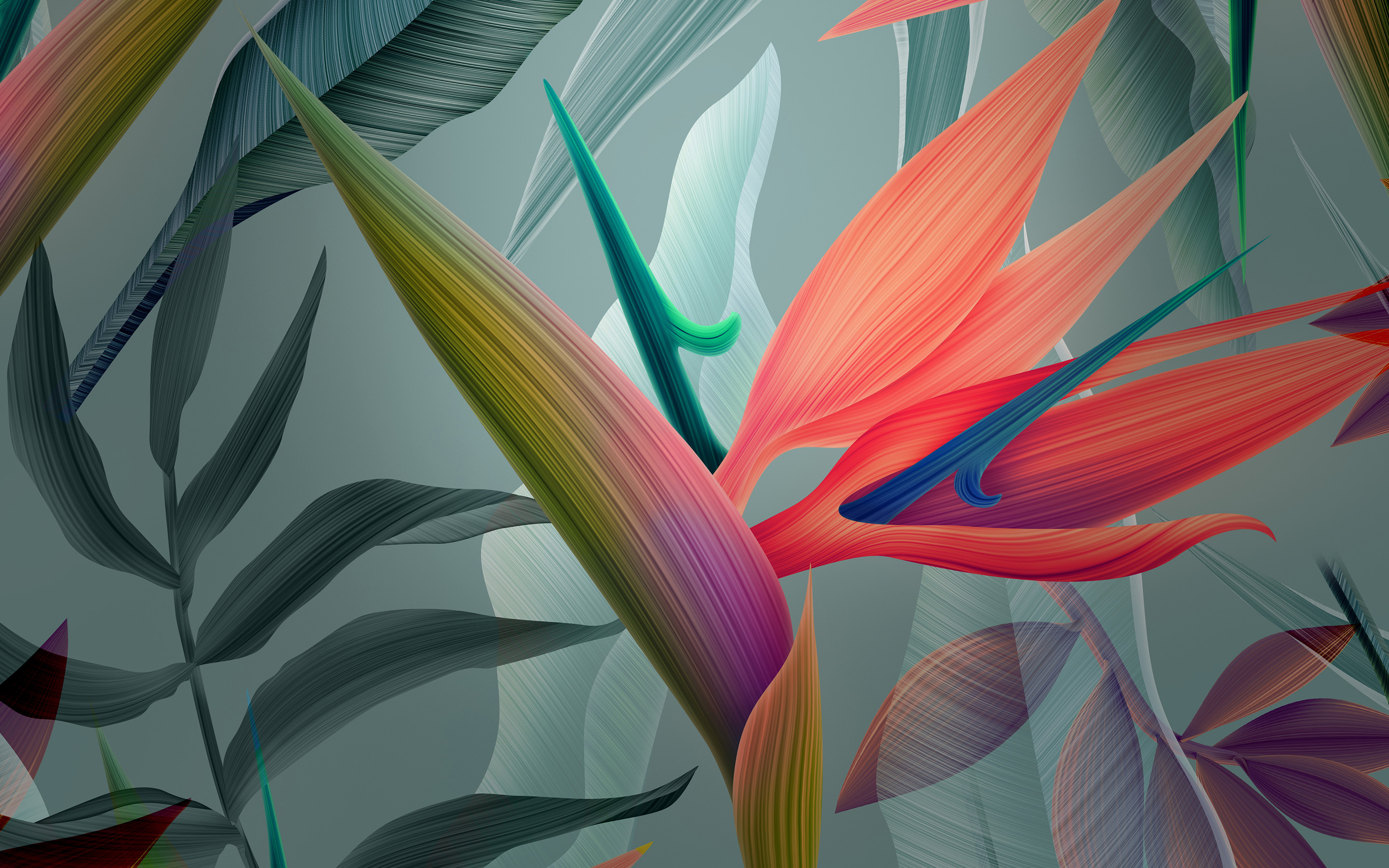 Abstract Flowers930568830